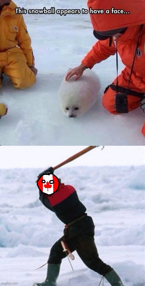 Your song smells like greenhouse.