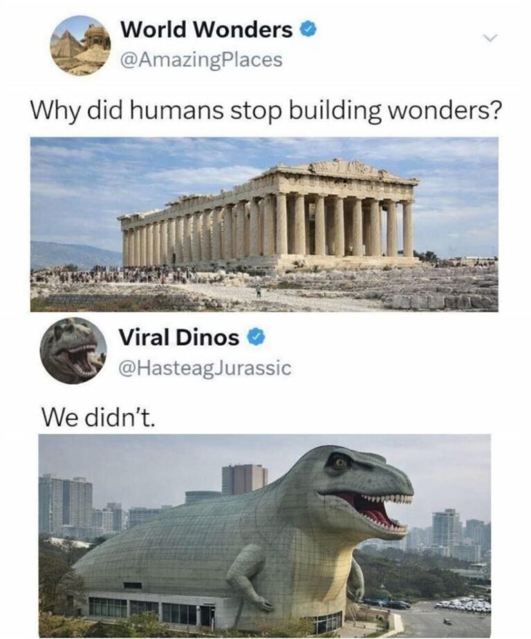 zigdanamus afraid combat