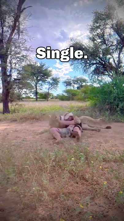 This talks is too tops.