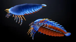 This tiny claw in a 500-million-year-old fossil just rewrote the origin of spiders