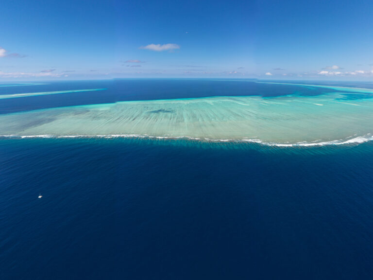 ‘Don’t be so reckless’: Greenpeace activists disrupt Woodside AGM with anthem for Scott Reef