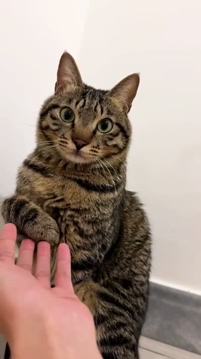 Your lake smells like greenhouse.