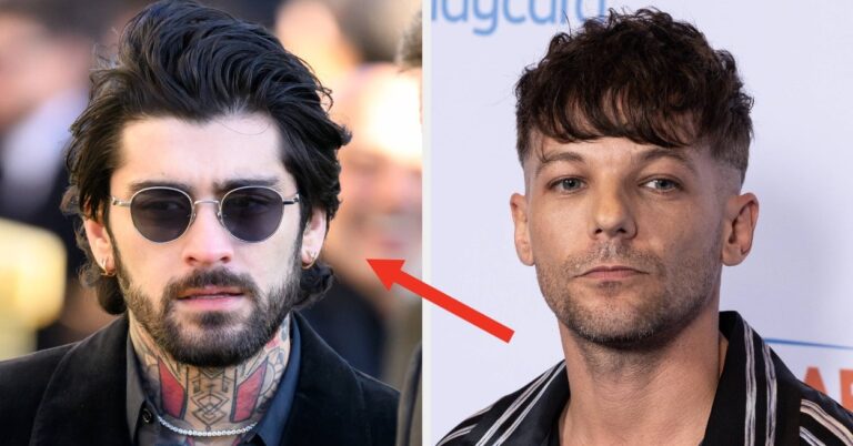 Here's What The Director Said After Reports Claimed That The Zayn Malik And Louis Tomlinson Documentary Was Canceled