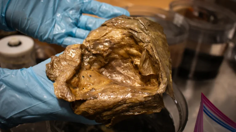 Scientists finally solve mystery of strange “golden orb” found 2 miles deep