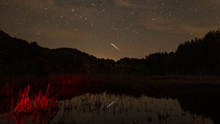 The Lyrid meteor shower 2026 has begun! Here’s what to expect