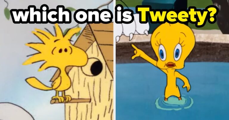 Famous Bird Characters Trivia Quiz
