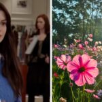 Believe It Or Not, Your Flower Choices Will Determine If You Can Survive A Day As Miranda Priestly's PA!