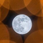 The best new popular science books of April 2026