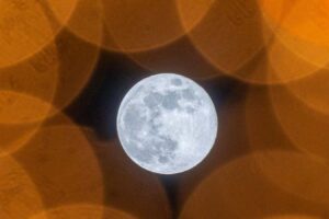 The best new popular science books of April 2026