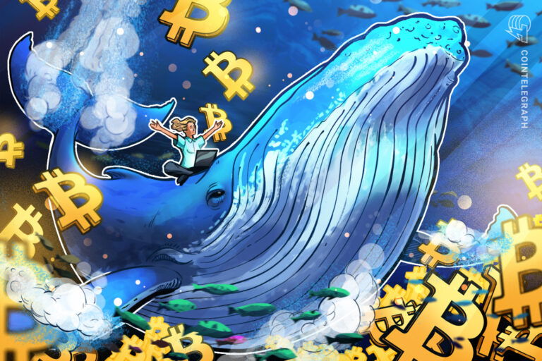 Bitcoin Whale Holdings Hit 5 Month High At 3.09M BTC