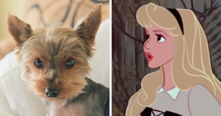 Choose Cute Puppies And Accessories And I'll Reveal Your Inner Disney Princess