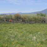 Why a Montana rancher is speaking up for climate action » Yale Climate Connections