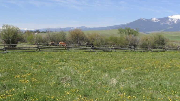 Why a Montana rancher is speaking up for climate action » Yale Climate Connections