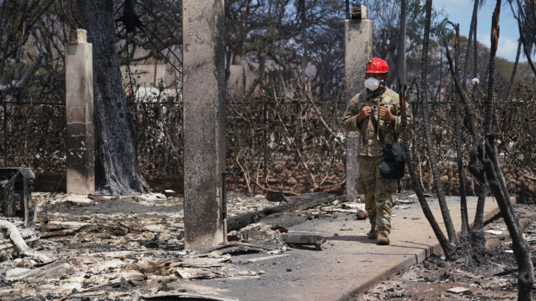 The long shadow of Maui’s wildfires » Yale Climate Connections