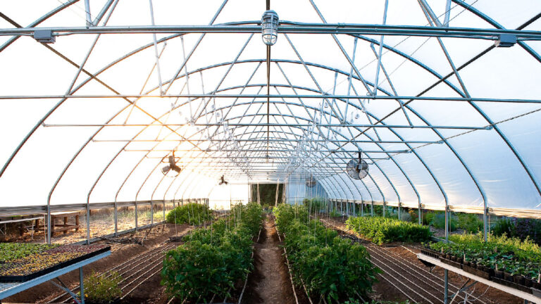 Pennsylvania greenhouse stays warm by storing heat underground » Yale Climate Connections