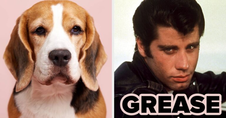 Pick A Famous Movie From Every Decade And I’ll Reveal Your Inner Dog Breed!