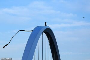 Stomach-churning moment reckless anti-Trump protestor brings rush hour traffic to a standstill by scaling 168ft bridge in DC