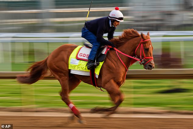 Kentucky Derby down to 19 horses as The Puma is withdrawn just hours before iconic race