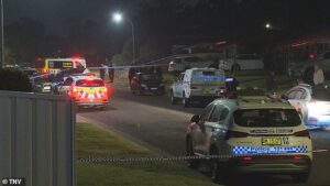 Man is arrested after three people are allegedly killed at a Rosemeadow home