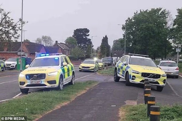 Teenage boy dies after being struck by fallen tree despite paramedics’ attempts to save him
