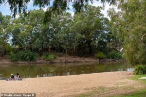 Newborn baby is found dead and a second left fighting for life after grim discovery inside a tent at Wagga Beach