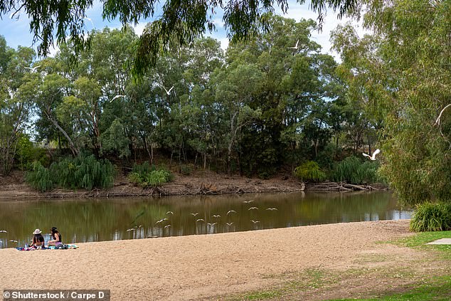 Newborn baby is found dead and a second left fighting for life after grim discovery inside a tent at Wagga Beach