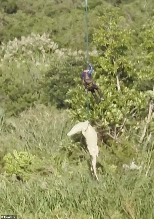 Cop is lowered by helicopter into crocodile-infested river to retrieve dead businessman still INSIDE beast that had eaten him