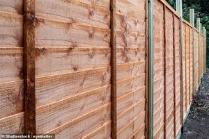 What your fence says about you, including the grey ‘spruce-up’ paint that screams bad taste, why ‘statement’ boundaries are ‘new money’ – and the ‘natural’ borders that prove you’re genuinely posh