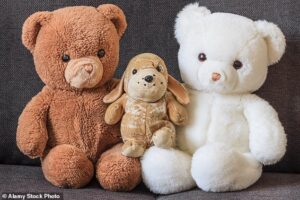 One in four sentimental Britons can’t bear to get rid of their childhood teddy