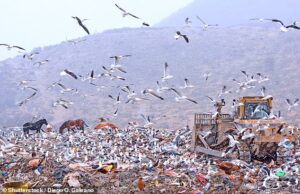 A bad omen? Hantavirus outbreak is believed to have originated in Argentinian town known as ‘the end of the world’