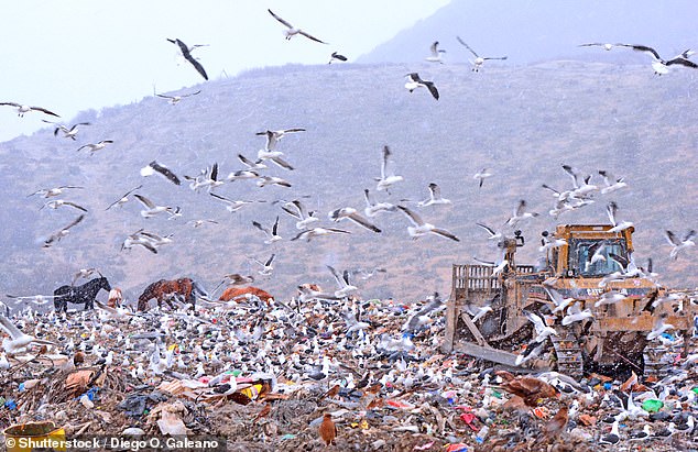 A bad omen? Hantavirus outbreak is believed to have originated in Argentinian town known as ‘the end of the world’