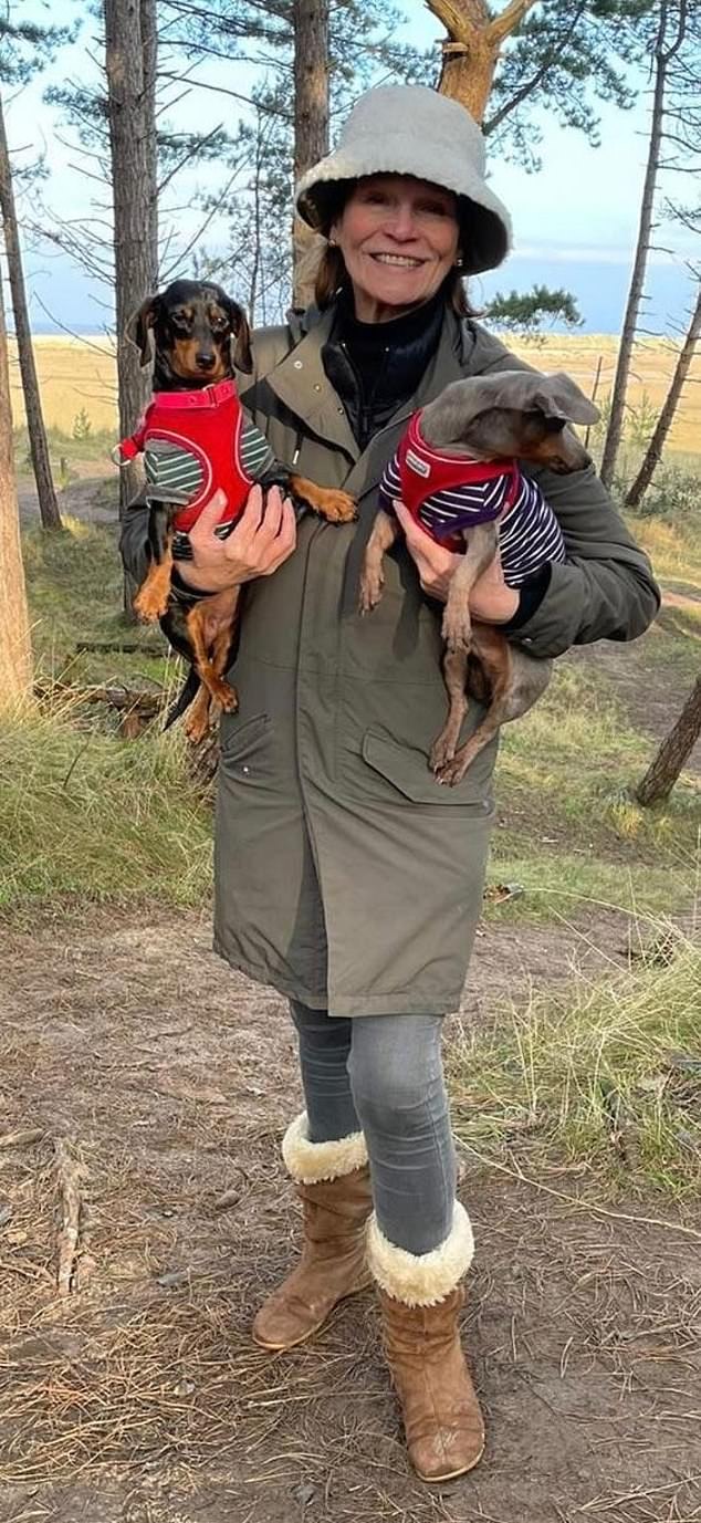 ‘No one can believe it’: Real story behind school nurse who snapped and stabbed her estranged husband after he had her dogs put down, as friend reveals how their marriage broke down… and what their daughters make of it