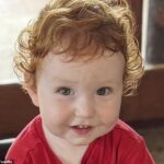 Major update after a freak accident with a Bluey cake left a one-year-old in a coma