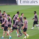 Now the PARENTS are getting involved in Real Madrid crisis! Florentino Perez ‘has received complaints from parents of TWO stars over lack of playing time’ as Spanish club unravels after string of training ground clashes