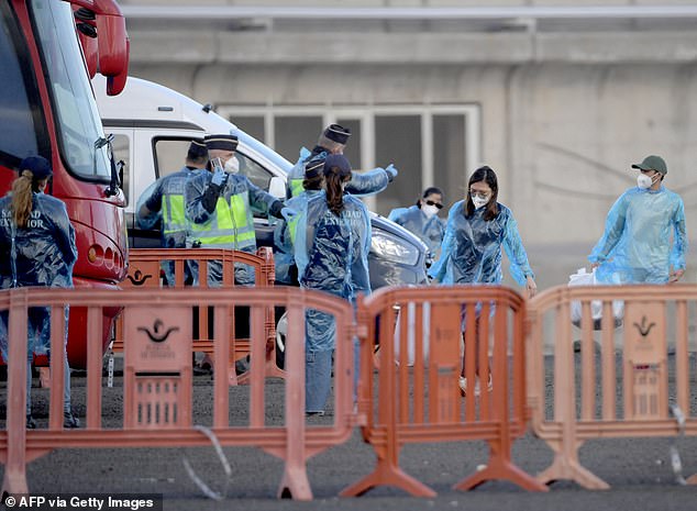 First suspected ‘generation three’ hantavirus case as Italian who ‘sat alongside’ woman on Dutch KLM flight before she died develops symptoms – amid fears virus has MUTATED