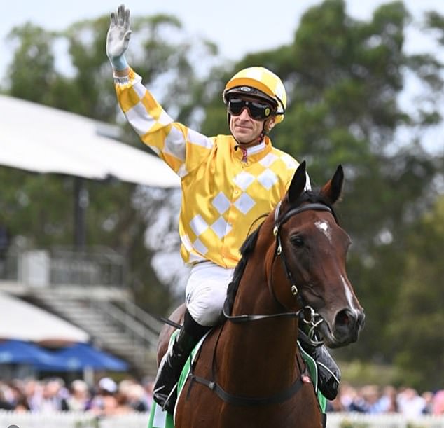 Stingray attack leaves champion horse’s future in doubt as Golden Slipper winner is pulled from Ascot Carnival next month