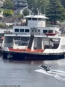 Suspected drunk boater filmed passed out behind the wheel of speeding vessel filmed roaring towards violent collision with stone dock