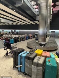 Baggage chaos at Heathrow as furious passengers are forced to wait up to five hours for their luggage – with some told to go home without their bags