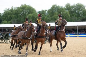 Royal tragedy as military rider falls off their horse and dies at Royal Windsor Horse Show after performing in front of King Charles