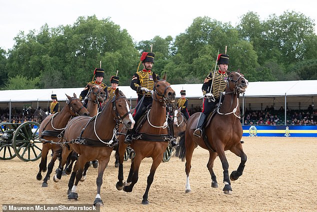 Royal tragedy as military rider falls off their horse and dies at Royal Windsor Horse Show after performing in front of King Charles