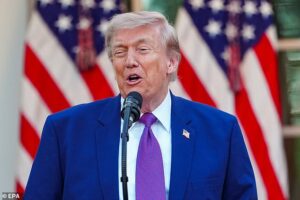 Donald Trump is considering endorsing Spencer Pratt for LA mayor, sources claim, as underdog ex-reality star steamrolls opposition