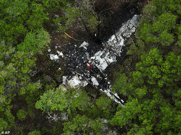 Nightmarish final moments of pickleball players killed after their plane broke apart in mid-air, as terrifying cause of crash is revealed
