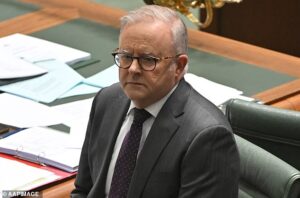 Surprising new poll shows Aussie voters’ intense reaction to the Albanese government’s tax-heavy Budget – as One Nation claws its way even higher