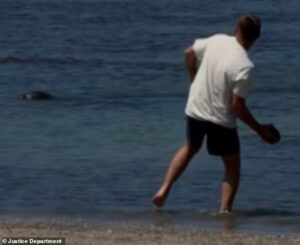 Vile tourist filmed hurling rock at Hawaiian seal then bragging ‘I’m rich’ offers astonishing excuse for his behavior