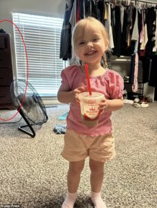 Two-year-old girl crushed to death by 80lb dresser she was climbing as she tried to reach toy