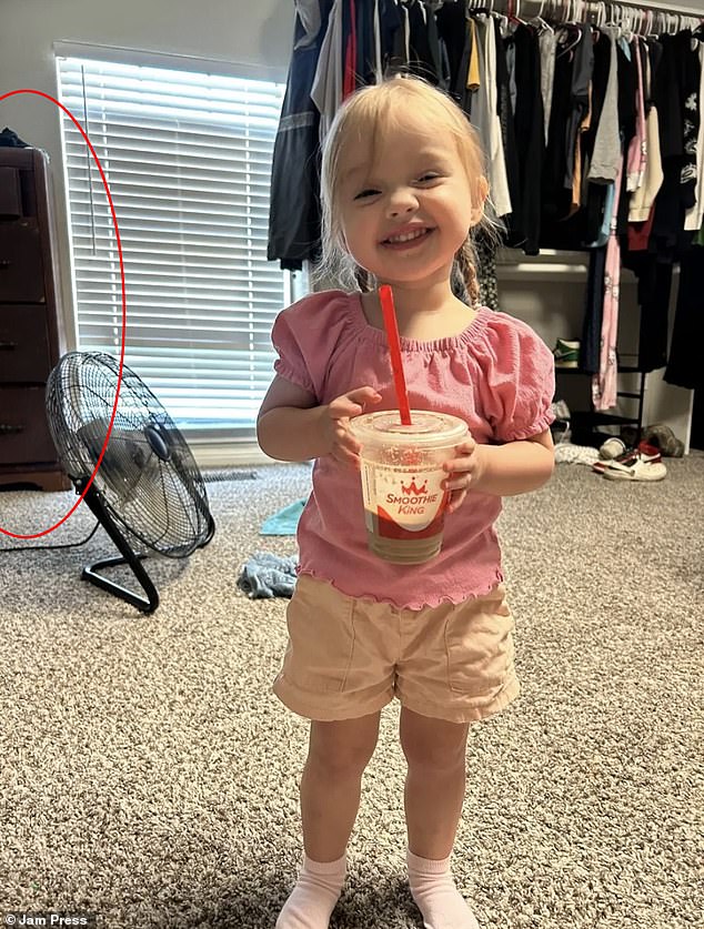 Two-year-old girl crushed to death by 80lb dresser she was climbing as she tried to reach toy