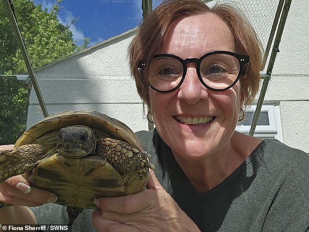 A tortoise missing for eight months is found… 300 yards away