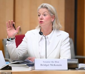 Nationals Senator Bridget McKenzie vows to escalate comments from Labor rival whole told her he would metaphorically ‘cut you up’ during heated tax debate