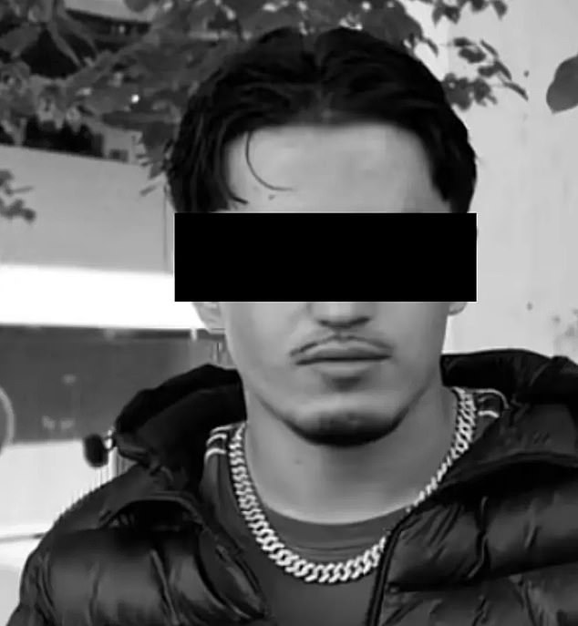 Afghan migrant ‘sexually abuses 11-year-old girl at knifepoint in a bathroom at German special needs school’