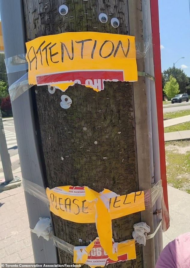 Jewish family’s horror as posters of their missing daughter, 14, are ripped down by cruel residents in Toronto